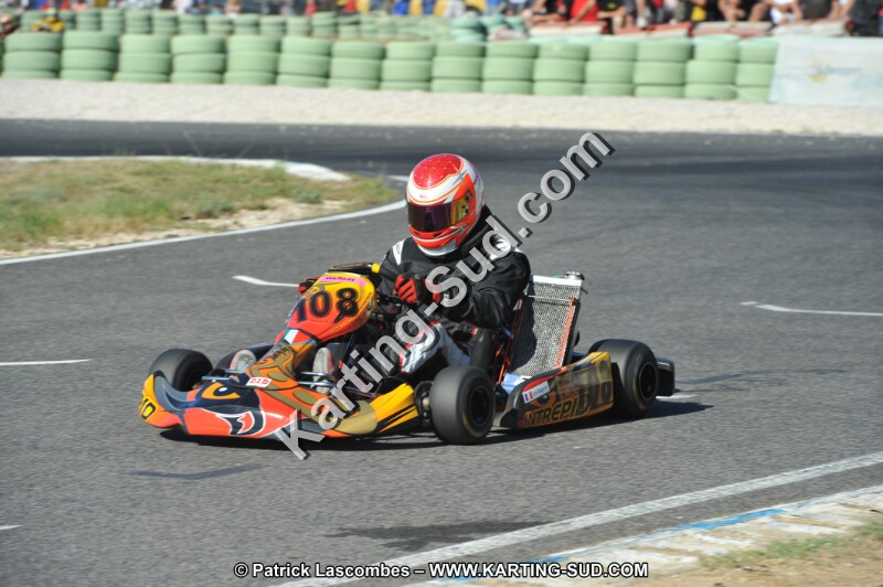 DSC (2530).JPG